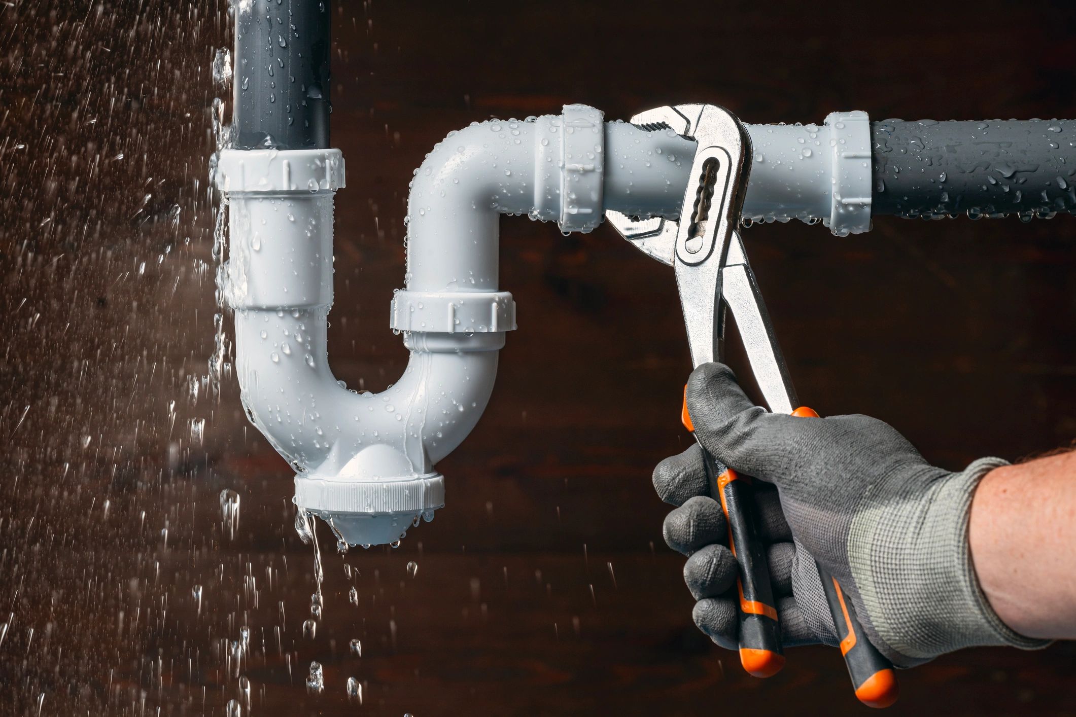 Local Tampa plumber fixing a kitchen sink
